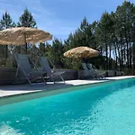 3 En Bois Dans Les Landes N37