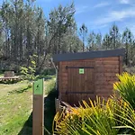 Chata 3 En Bois Dans Les Landes N37 Tosse