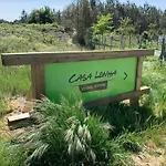 3 En Bois Dans Les Landes N37 Tosse