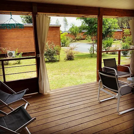 3 En Bois Dans Les Landes N37 *