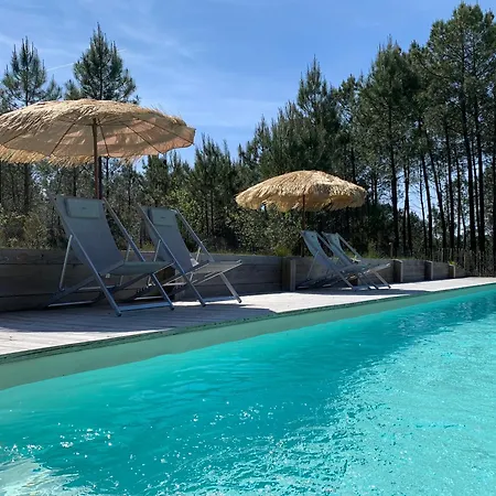 3 En Bois Dans Les Landes N37