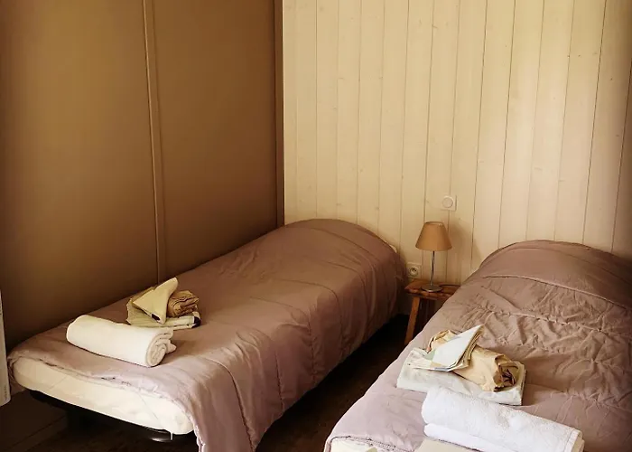 Chata 3 En Bois Dans Les Landes N37