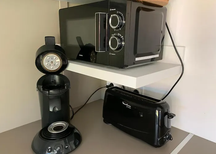 3 En Bois Dans Les Landes N37 *