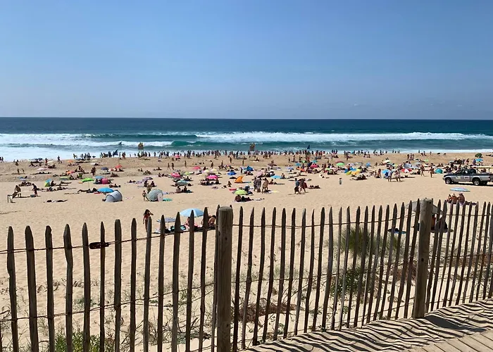 3 En Bois Dans Les Landes N37 Chata