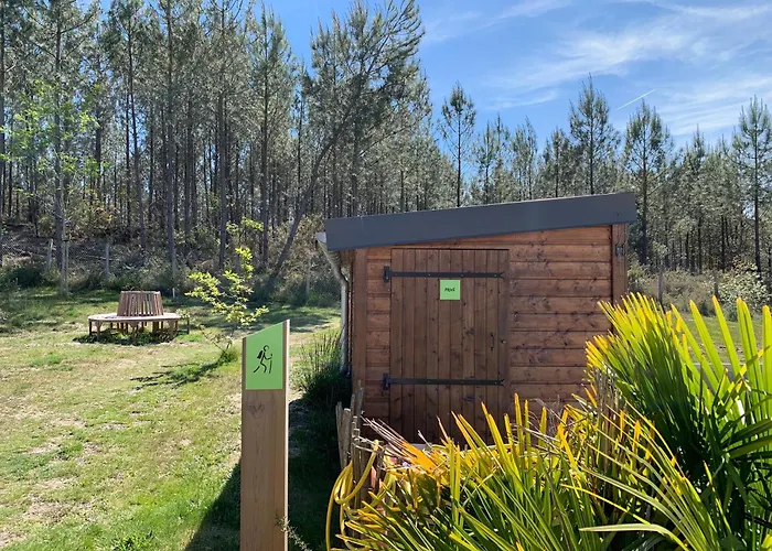 Chata 3 En Bois Dans Les Landes N37 Tosse